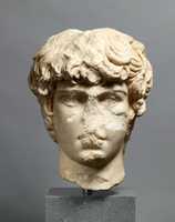 Free download Marble portrait head of Antinoos free photo or picture to be edited with GIMP online image editor