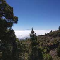 Скачать бесплатно Mar de nubes en Canarias. бесплатное фото или изображение для редактирования с помощью онлайн-редактора изображений GIMP