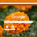 Marigold  screen for extension Chrome web store in OffiDocs Chromium
