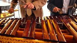 Free download Marimba Music Acoustic -  free video to be edited with OpenShot online video editor