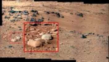 Free download mars-rodent1-450x254 free photo or picture to be edited with GIMP online image editor
