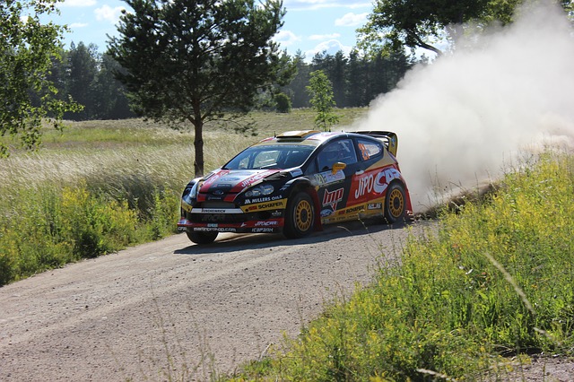Free download martin procop 71 rally poland 2014 free picture to be edited with GIMP free online image editor