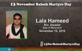 Free download Martyr Name: Lala Hameed free photo or picture to be edited with GIMP online image editor