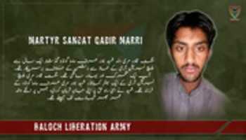Free download Martyr Sangat Qadir Marri free photo or picture to be edited with GIMP online image editor