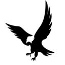 Matador Falcon  screen for extension Chrome web store in OffiDocs Chromium