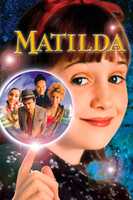 Unduh gratis matilda foto atau gambar gratis untuk diedit dengan editor gambar online GIMP