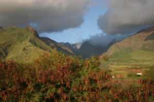 Free download Maui edits free photo or picture to be edited with GIMP online image editor