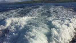 Free download Maui Water Wave -  free video to be edited with OpenShot online video editor