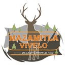 Mazamitla en letras  screen for extension Chrome web store in OffiDocs Chromium