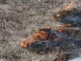 Free download McMaster Forest - Prairie Burn, May 1, 2018 free photo or picture to be edited with GIMP online image editor