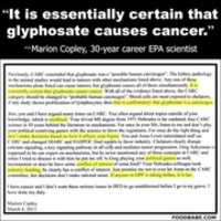 Free download MDL Monsanto Glyphosate Cancer Case Key Documents & Analysis free photo or picture to be edited with GIMP online image editor