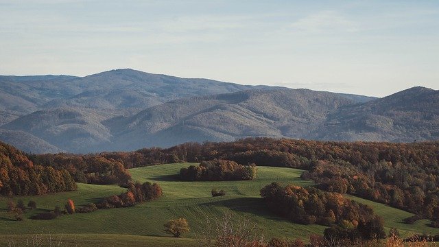 Free download meadow forest mountains landscape free picture to be edited with GIMP free online image editor