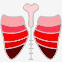 OffiDocs Chromium의 확장 Chrome 웹 스토어에 대한 Med3D DICOM 화면