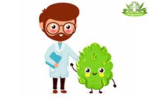 Free download MEDICAL MARIJUANA CARD ORANGE COUNTRY free photo or picture to be edited with GIMP online image editor