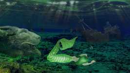Free download Meditation Chill Mermaid Liberty -  free video to be edited with OpenShot online video editor