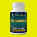 Megaburn Megaburn Official Website  screen for extension Chrome web store in OffiDocs Chromium