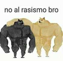 Free download Meme de los perros. free photo or picture to be edited with GIMP online image editor