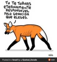 Free download Memes brasil free photo or picture to be edited with GIMP online image editor