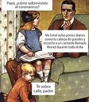 Free download Memes variados vol.2 free photo or picture to be edited with GIMP online image editor