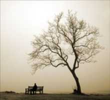 Free download Memoir By Valimar free photo or picture to be edited with GIMP online image editor