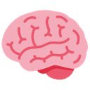 Memorai – AI memory assistant for Anki  screen for extension Chrome web store in OffiDocs Chromium