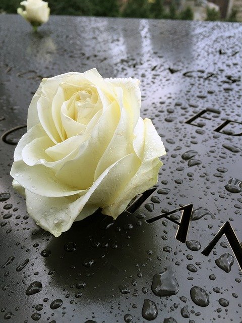 Free download memorial nyc manhattan free picture to be edited with GIMP free online image editor