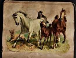 Free download Memories From Before - The Horses free photo or picture to be edited with GIMP online image editor
