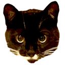 Meowify Extension  screen for extension Chrome web store in OffiDocs Chromium