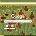 Mexican Hat  screen for extension Chrome web store in OffiDocs Chromium