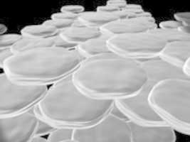 Free download MicroPancakes free photo or picture to be edited with GIMP online image editor
