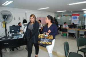 Free download Microrrueda de Empleo free photo or picture to be edited with GIMP online image editor