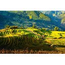 mien nui 2024  screen for extension Chrome web store in OffiDocs Chromium