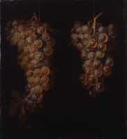 무료 다운로드 Miguel De Pret, Bunches Of Grapes 무료 사진 또는 김프 온라인 이미지 편집기로 편집할 사진