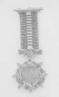 Free download Military Decoration Presented to General T. F. Meagher of the Irish Brigade free photo or picture to be edited with GIMP online image editor