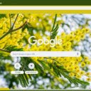 Mimosa  screen for extension Chrome web store in OffiDocs Chromium
