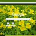 Mimulus  screen for extension Chrome web store in OffiDocs Chromium