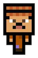 Libreng download Minecraft Pixel arts libreng larawan o larawan na ie-edit gamit ang GIMP online na image editor