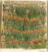 Free download Miniature Feathered Dress free photo or picture to be edited with GIMP online image editor