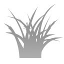 Minimal nature theme  screen for extension Chrome web store in OffiDocs Chromium