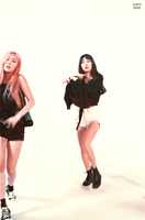 Free download minkYUNG-SDINGO-LARGE free photo or picture to be edited with GIMP online image editor