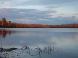 Free download Minnesota Lake, Dog, Porcupine, Fishing free photo or picture to be edited with GIMP online image editor