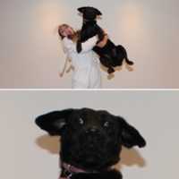 Free download Mi perro y yo  free photo or picture to be edited with GIMP online image editor