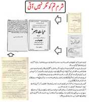 Free download Mirza Sahb Pe Toilet Mein Fout Hony Ka Jhuta Bohtaan free photo or picture to be edited with GIMP online image editor