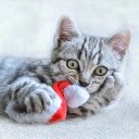 Mischievous cat  screen for extension Chrome web store in OffiDocs Chromium