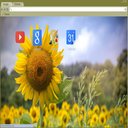 OffiDocs Chromium'daki Chrome web mağazası uzantısı için Miss Sunshine ekranı