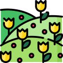 Misty Garden Maze  screen for extension Chrome web store in OffiDocs Chromium