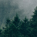 Misty Landscape Theme  screen for extension Chrome web store in OffiDocs Chromium