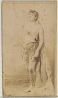 Free download Mlle. Lanteline, from the Actors and Actresses series (N45, Type 8) for Virginia Brights Cigarettes free photo or picture to be edited with GIMP online image editor