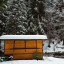 mobile home in a snowy forest  screen for extension Chrome web store in OffiDocs Chromium