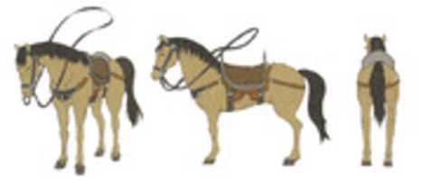 Free download Mocha Gold Horse free photo or picture to be edited with GIMP online image editor